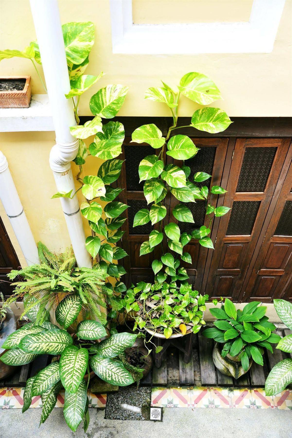 Cintra Heritage House Georgetown Luaran gambar